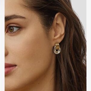 Elegant Gold and Silver Hoop Earrings